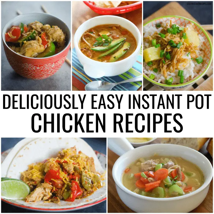 18 Easy Chicken Recipes You Can Make In Your Instant Pot – Easy Instant ...