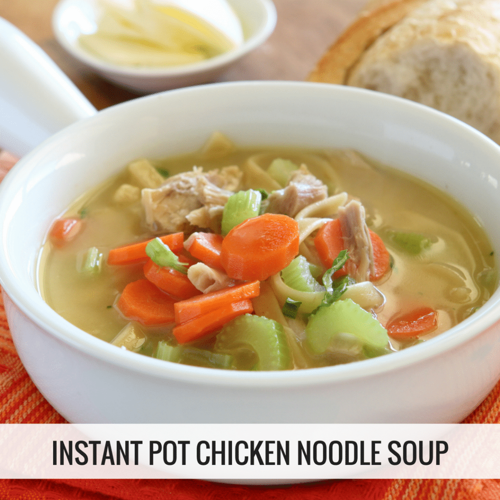 Instant Pot Chicken Noodle Soup – Easy Instant Recipes