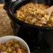 Crockpot Chicken and Stuffing Recipe
