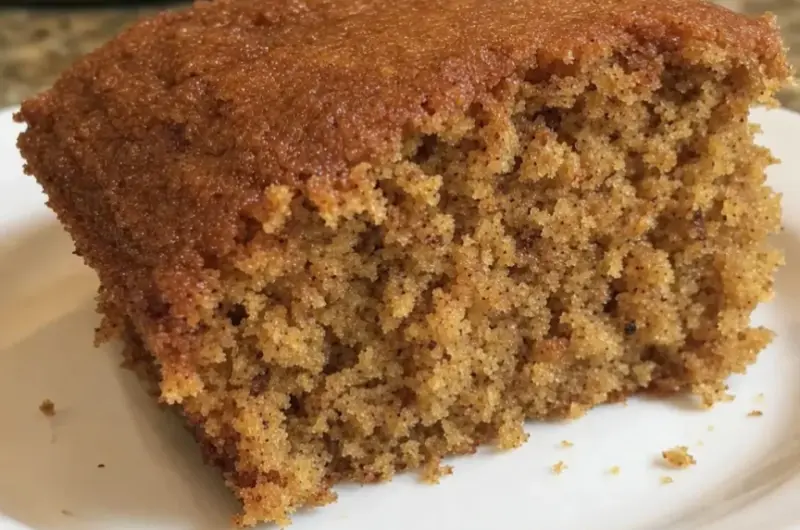 Amish applesauce cake